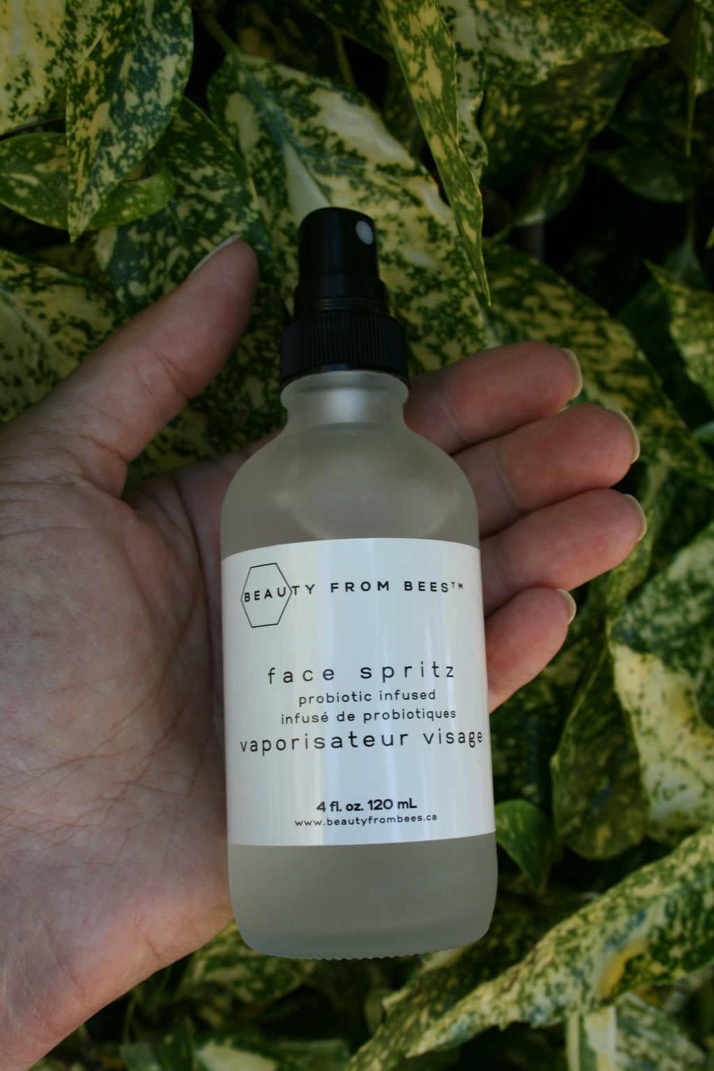 Face Spritz - Probiotic Infused