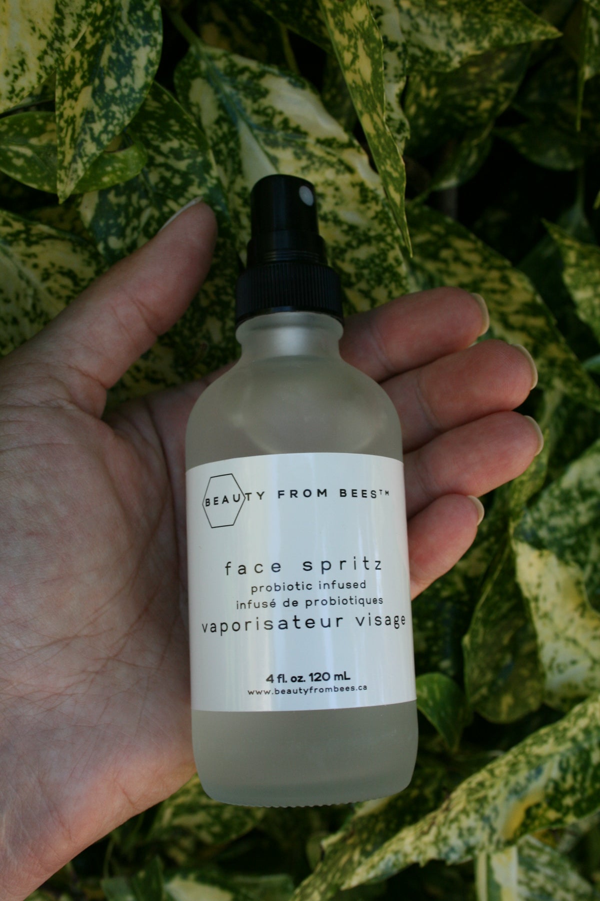 Face Spritz - Probiotic Infused