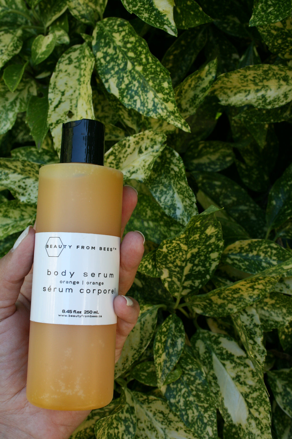 Body Serum