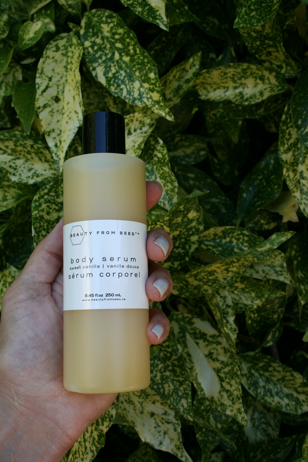 Body Serum