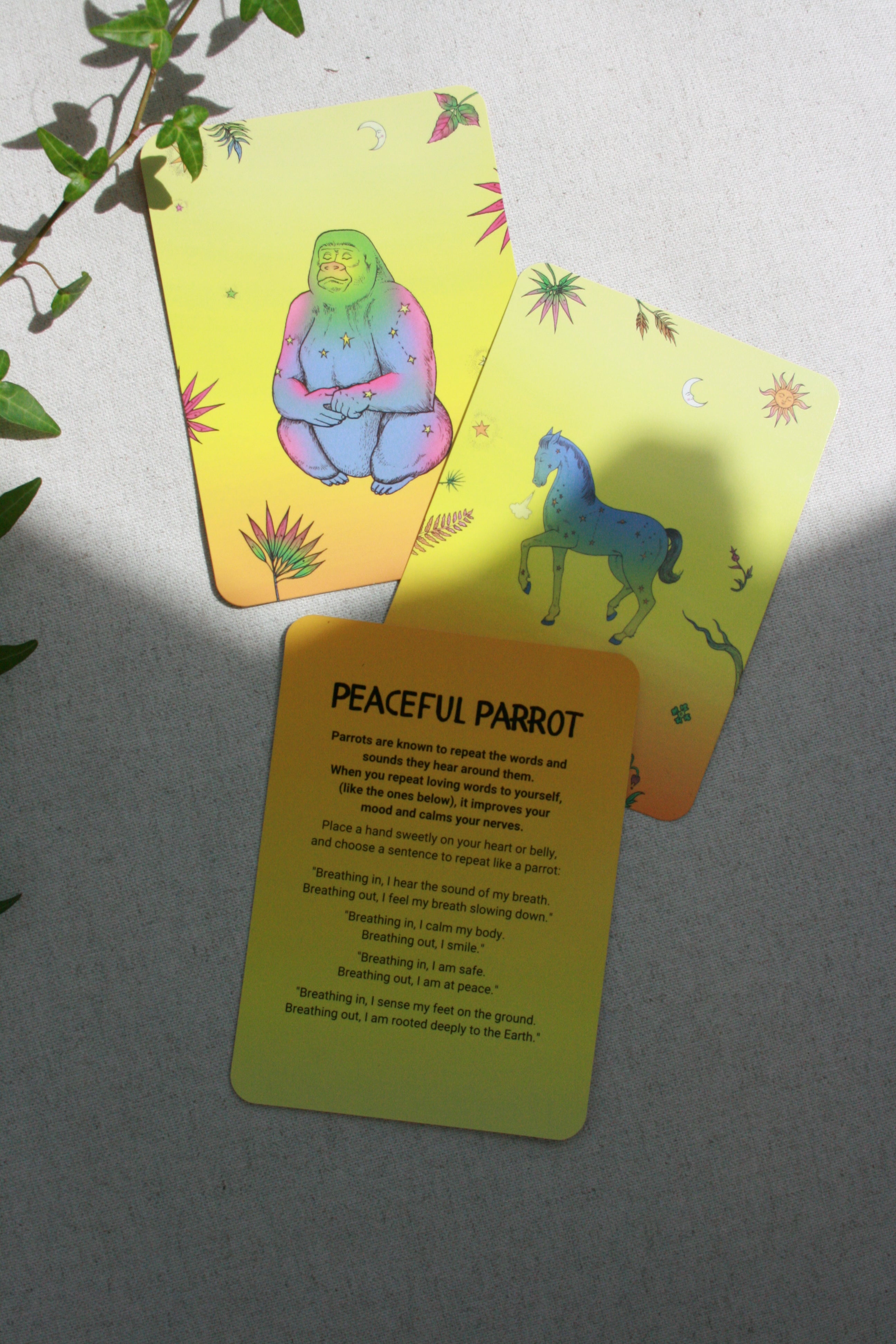 Children’s Coping Skill Card Deck Kingdom Calm