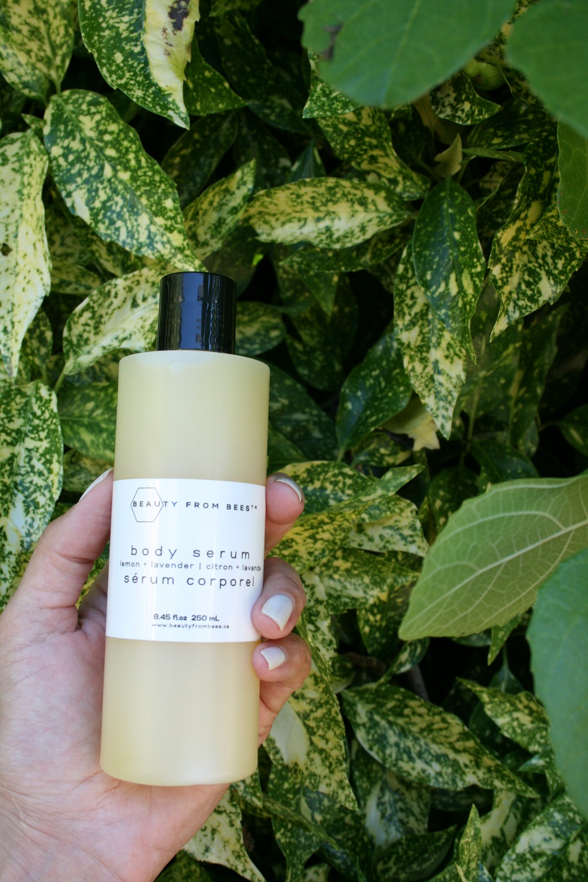 Body Serum