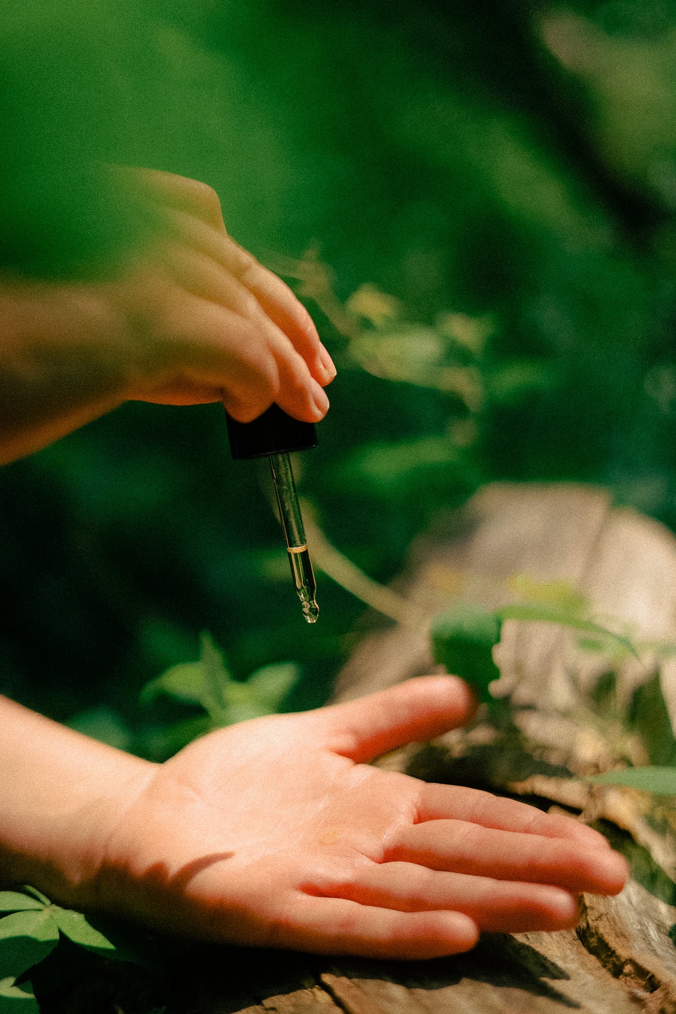 Forest Botanical Adorning Oil