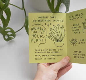 How to keep a plant alive and also yourself zine