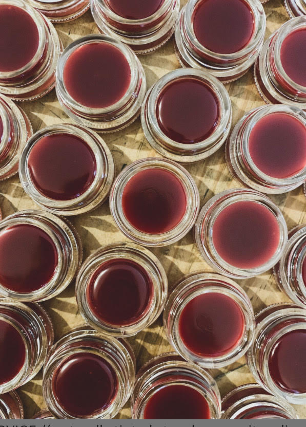 LIP SERVICE | naturally tinted strawberry + citrus lip gloss + balm