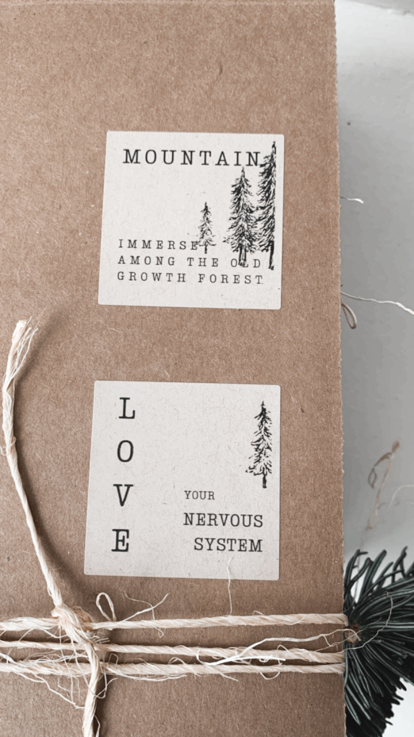 Mountain | Immerse yourself among the old growth forest