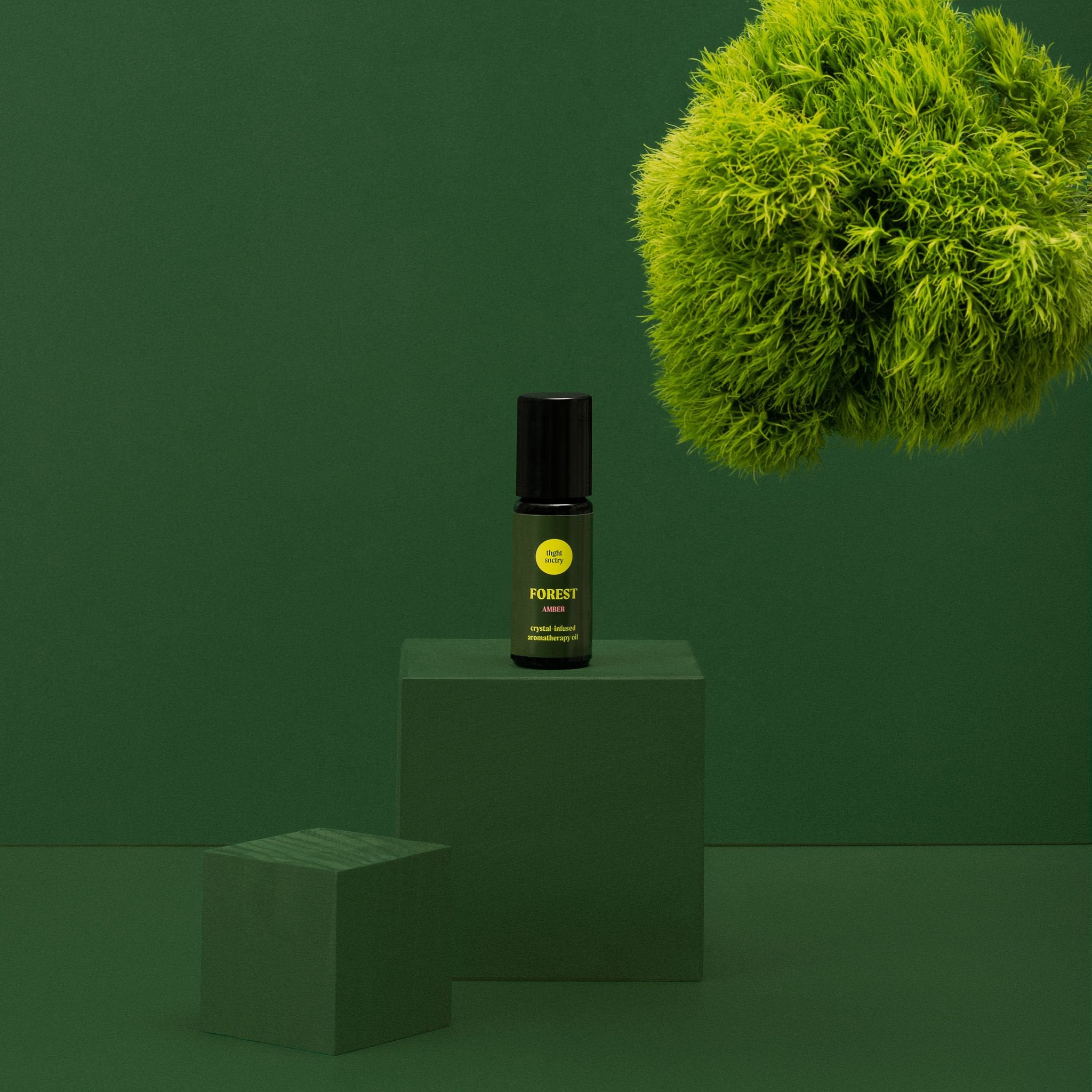 FOREST OIL | amber | CONNECTION & GROUNDEDNESS