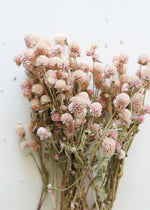 Load image into Gallery viewer, Fleur Rose Naturelle Linen
